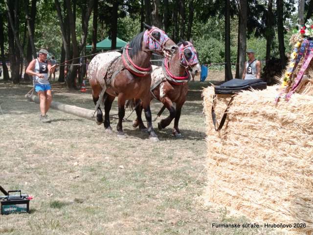IMG_20260801_124113